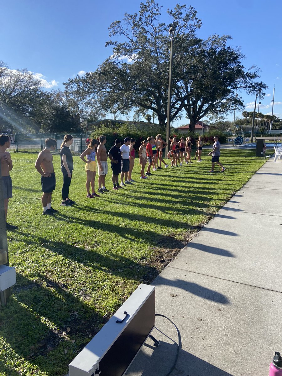 Blue Dolfins Winter Park tweet media