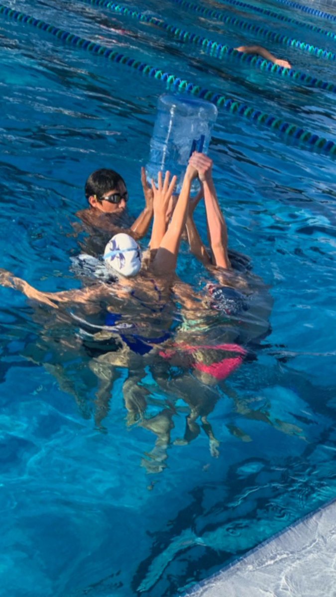 Blue Dolfins Winter Park tweet media