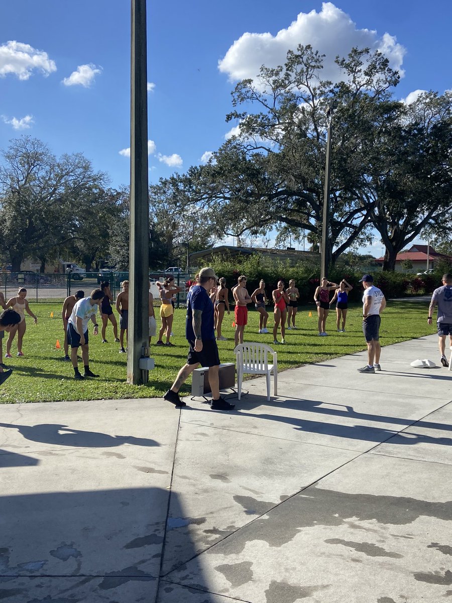 Blue Dolfins Winter Park tweet media