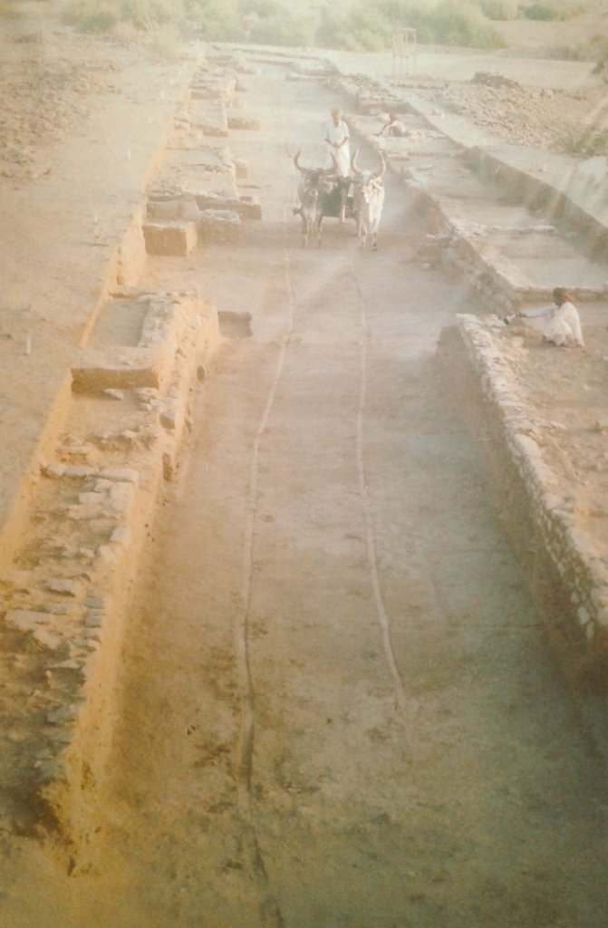 IndiaHistorypic's tweet photo. 4500 Years Old Harappan Era Street In Dholavira , Gujarat https://t.co/TwkwwBehfd