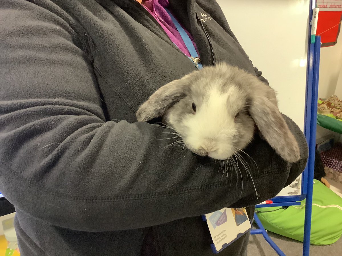 OABroadoak's tweet photo. Now we have named her together, 1LW would love to introduce their class pet ‘Lovely Winter’. Lovely Winter will be spending lots of time with 1LW this year as we learn to look after her. #classpet #adoptedrabbit #lovelywinter #Y1 https://t.co/QnBdW4GTnr