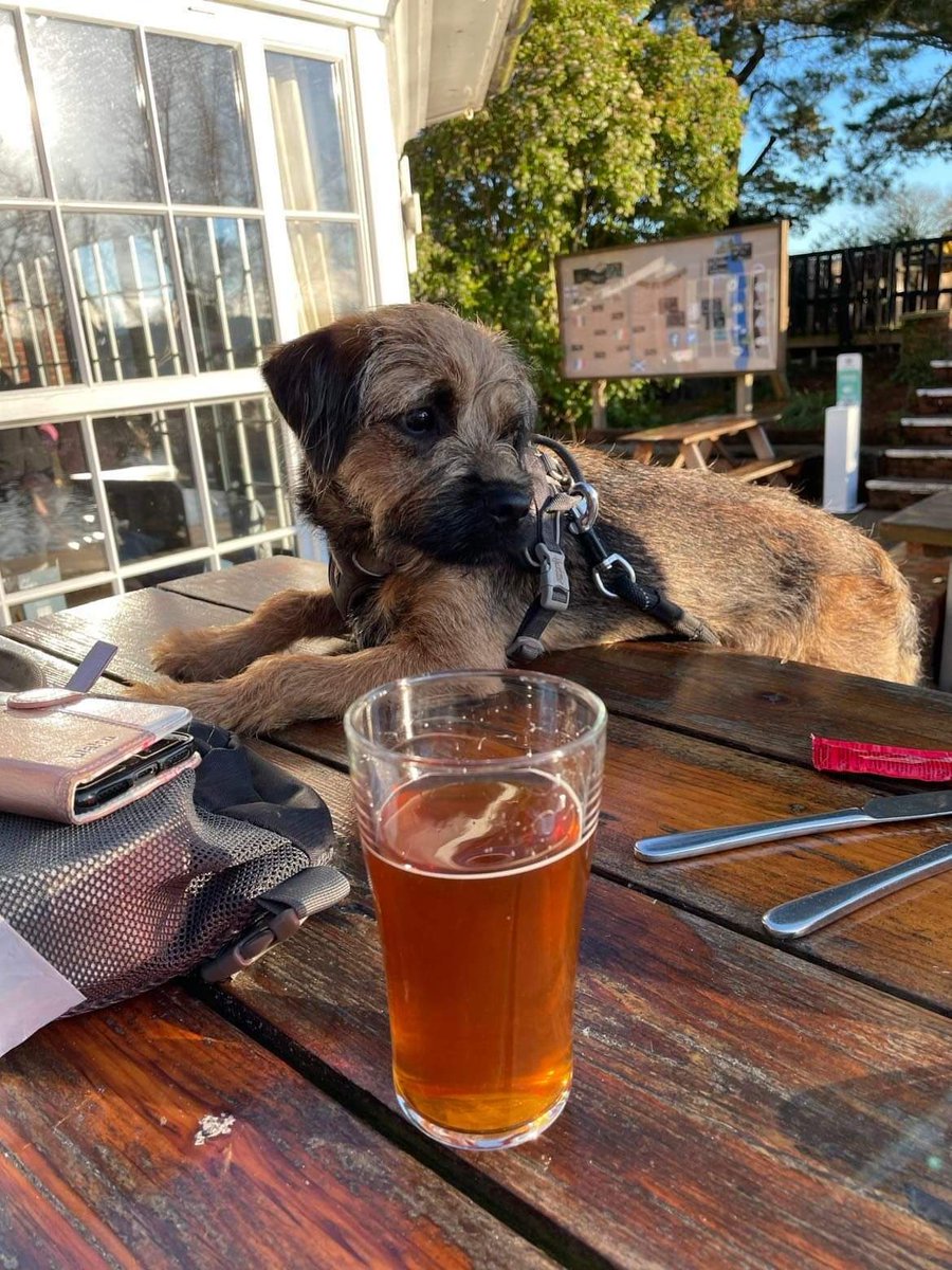 Nothing better than a small beer with a small Hamish #doublelocks