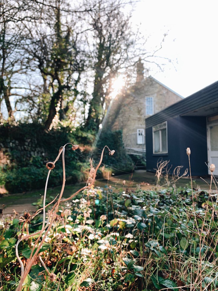 We are starting the New Year off by celebrating growth around the site! As demolition commences, it is the perfect opportunity to think about new growth in all forms 🌳🌺🌞

#krowji #naturalcornwall #creativekernow #cornwall #nature #sunshine #share