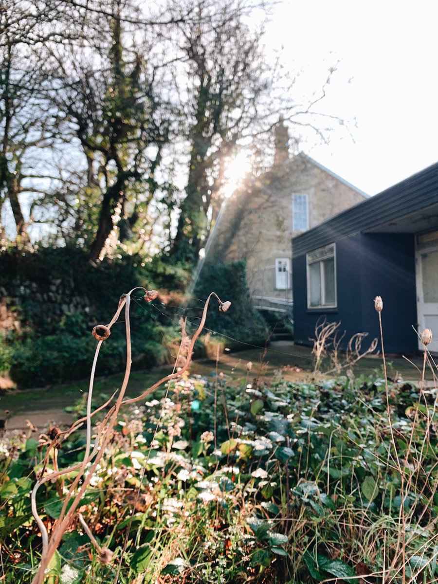 We are starting the New Year off by celebrating growth around the site! As demolition commences, it is the perfect opportunity to think about new growth in all forms 🌳🌺🌞 #krowji #naturalcornwall #creativekernow #cornwall #nature #sunshine #share