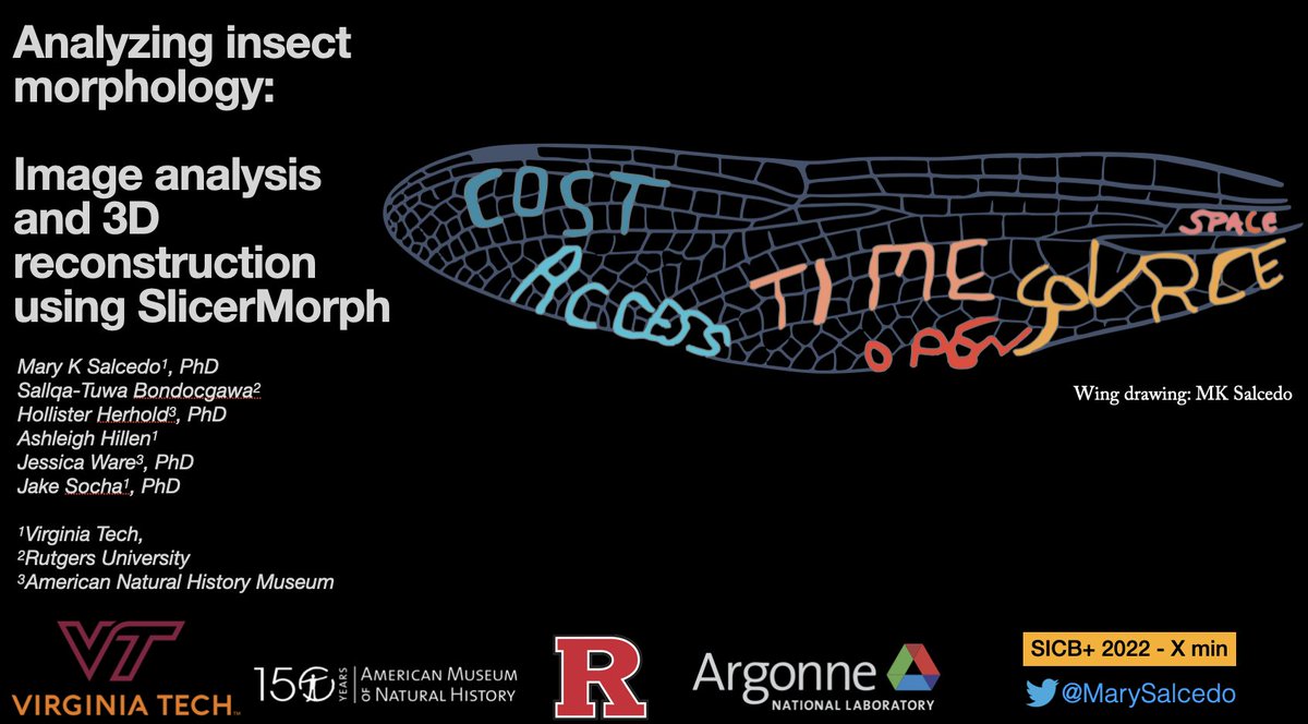 MarySalcedo's tweet image. Trailer - Want to microCT and don't know where/how/what?

For #SICB2022 Open Tech Symposium (S9), I'll discuss why open-source software @3DSlicerApp @SlicerMorph are great for you + students in terms: 

Access (anytime use), equity (for all), + cost. Talk upload to YT soon!
1/2