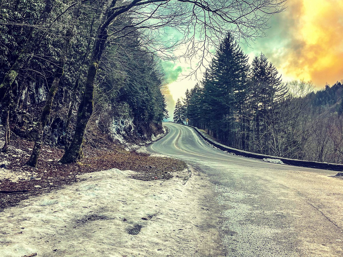 Winter vibes. #winter #mountains #trees #greatsmokymountains #smokymountains #northcarolina #explorenorthcarolina #explorethesmokymountains #nikon #nikonphotography #nikonusa #naturephotography