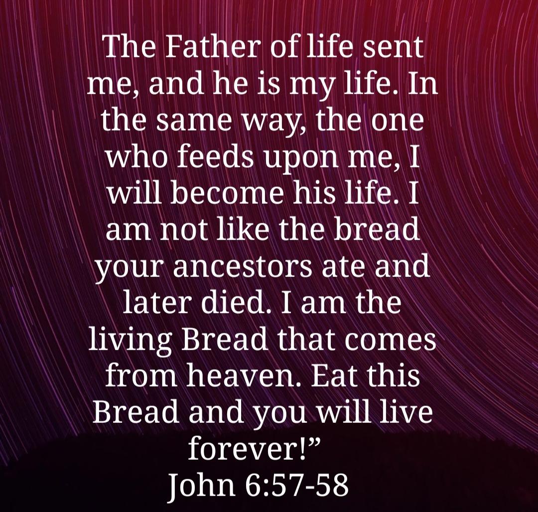 RealJohnKenneth's tweet photo. Meditate on these scriptures and let the Spirit of Truth grant you tangible experience of The Truth.  #Life #Immortality #Love #Truth #Joy. Grace Peace and Mercy 🙏❤️#jk https://t.co/RLsqTpYP0Q