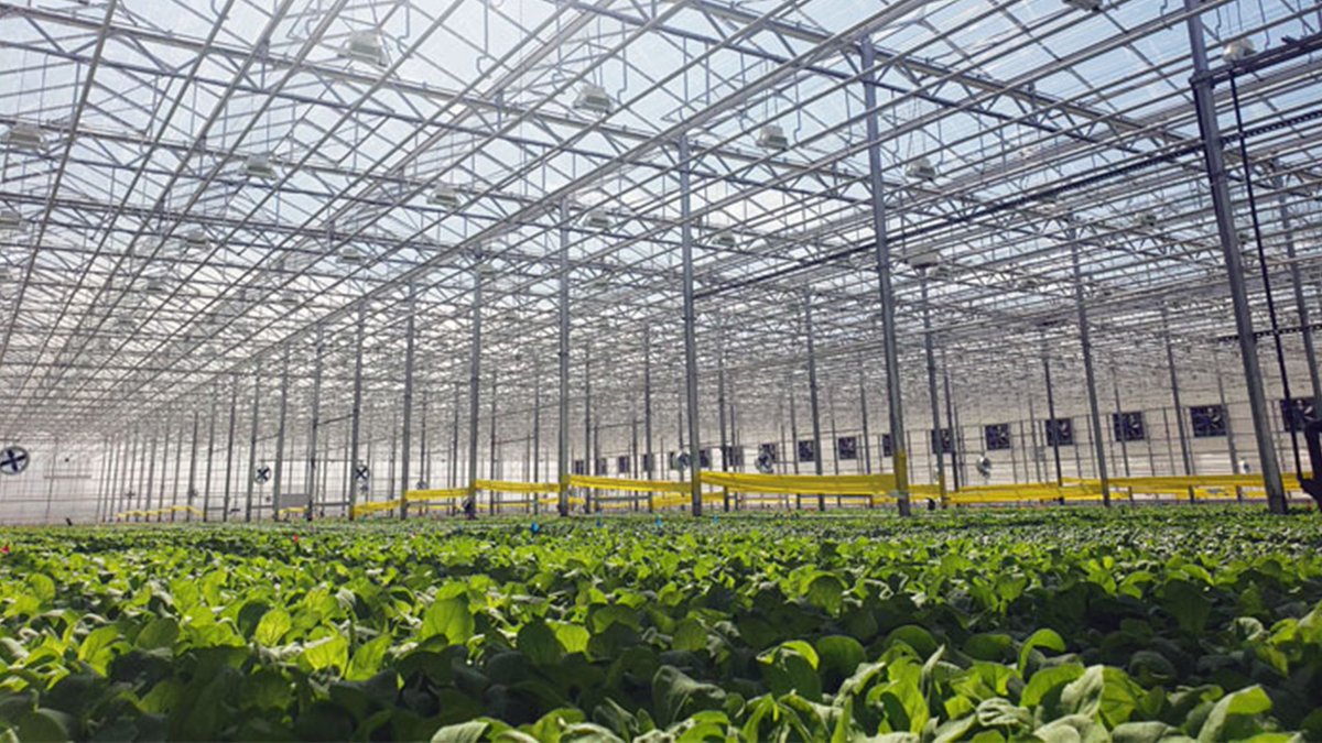 🥕🔍🌐
With the help of blockchain and cloud, @BrightFarms is able to trace their produce back to harvests in under 1 minute. Explore the partnership: ibm.co/3tt36lC

#NRF2022