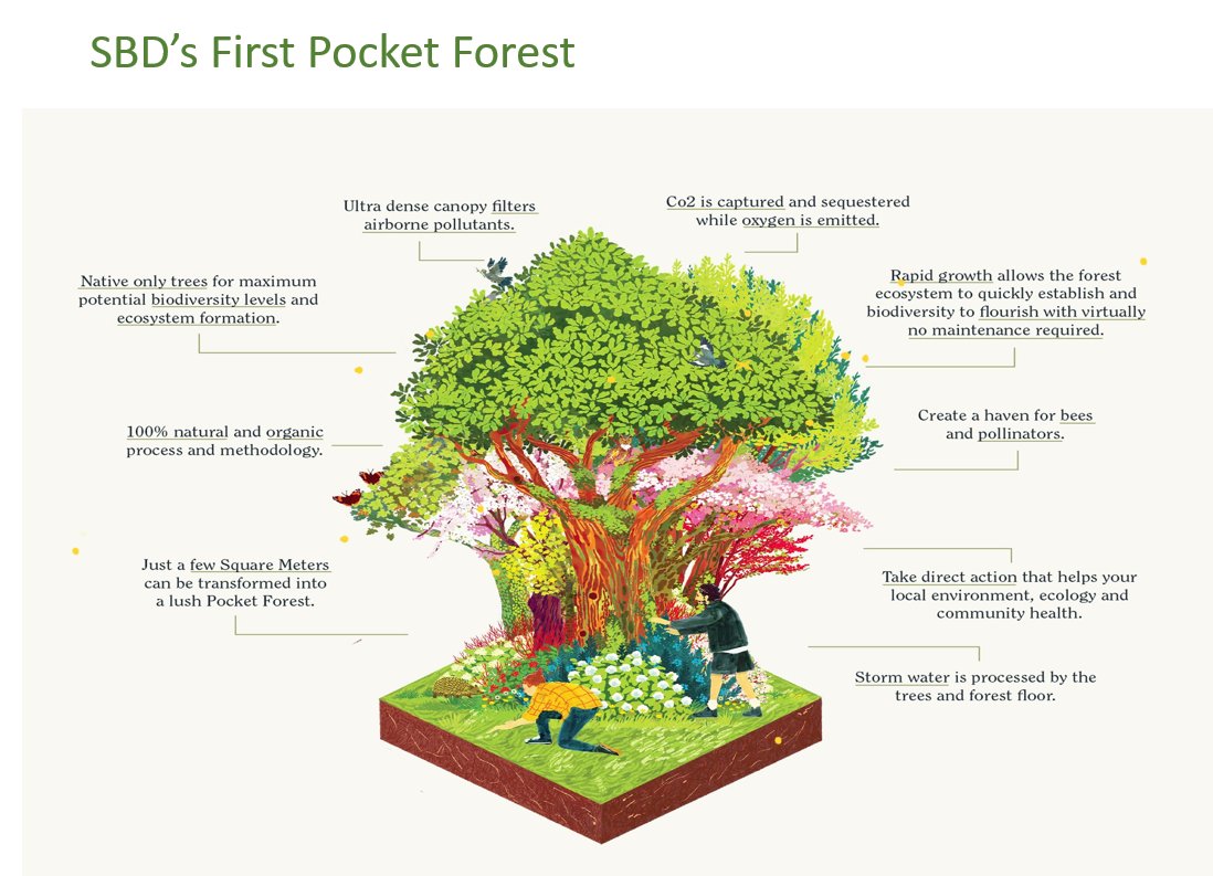 SandyfordBID's tweet photo. We're planting a new “Pocket Forest” in the district as part of our Project Green Programme 
We're looking for VOLUNTEERS to help us plant the trees on Sat Jan 22nd: 9am - 11am in Naomh Olaf’s GAA Club.
If you're interested in getting involved email us at operations@sandyford.ie https://t.co/EpJ5gx0JQc