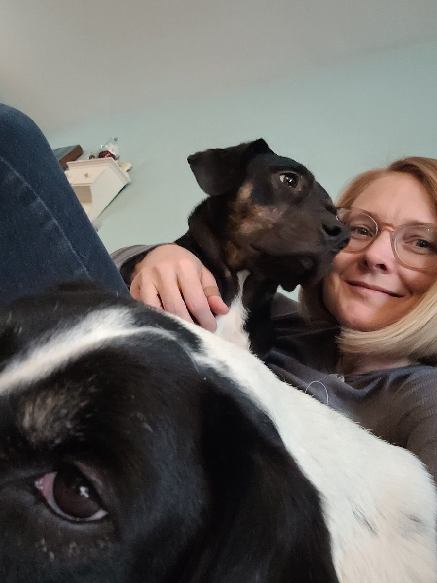 The best place to be is in a #puppypile #gooddogs