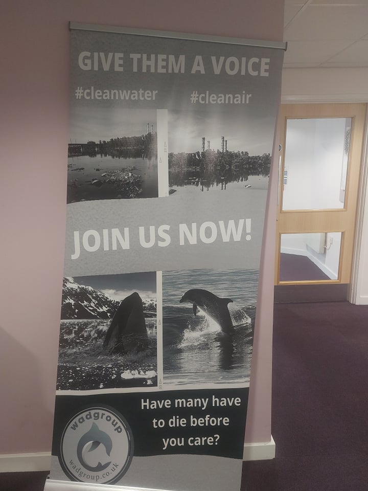 AndWad's tweet photo. Our first steps to raise awareness are to help offer the whales and dolphins clean waters and clean air! Join us now! 🐬🐋 https://t.co/KVHsvmFtDw #cleanwater #cleanair #SaveTheWhales #SaveTheDolphins #WADGroup https://t.co/drLYM6uf8N
