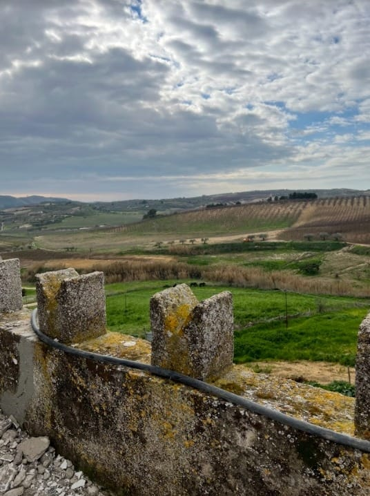 tenutenavarra's tweet photo. Il nostro #baglio a #Butera
Stiamo lavorando per trasformare la nostra tenuta in un luogo di connessione con la natura, dove provare le emozioni di un tempo e potersi distaccare da tecnologia e fonti di stress, per osservare flora e fauna da vicino e riconnettersi con la terra. https://t.co/fzt43dxUxt