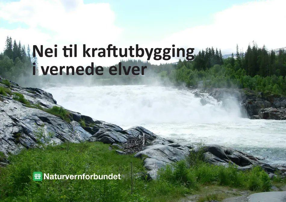 Naturvern's tweet photo. Nå må vi stå opp for de vernede elvene våre. Flere sentrale og lokale politikere vil bygge ut kraftverk i vernede elver. Det er helt uhørt. Gå inn på lenken og signér underskriftskampanjen: https://t.co/WlUsv39TYg
#vannkraft #vassdrag #elver #fosser #norsknatur #naturvern https://t.co/DZ2x6sfx4g