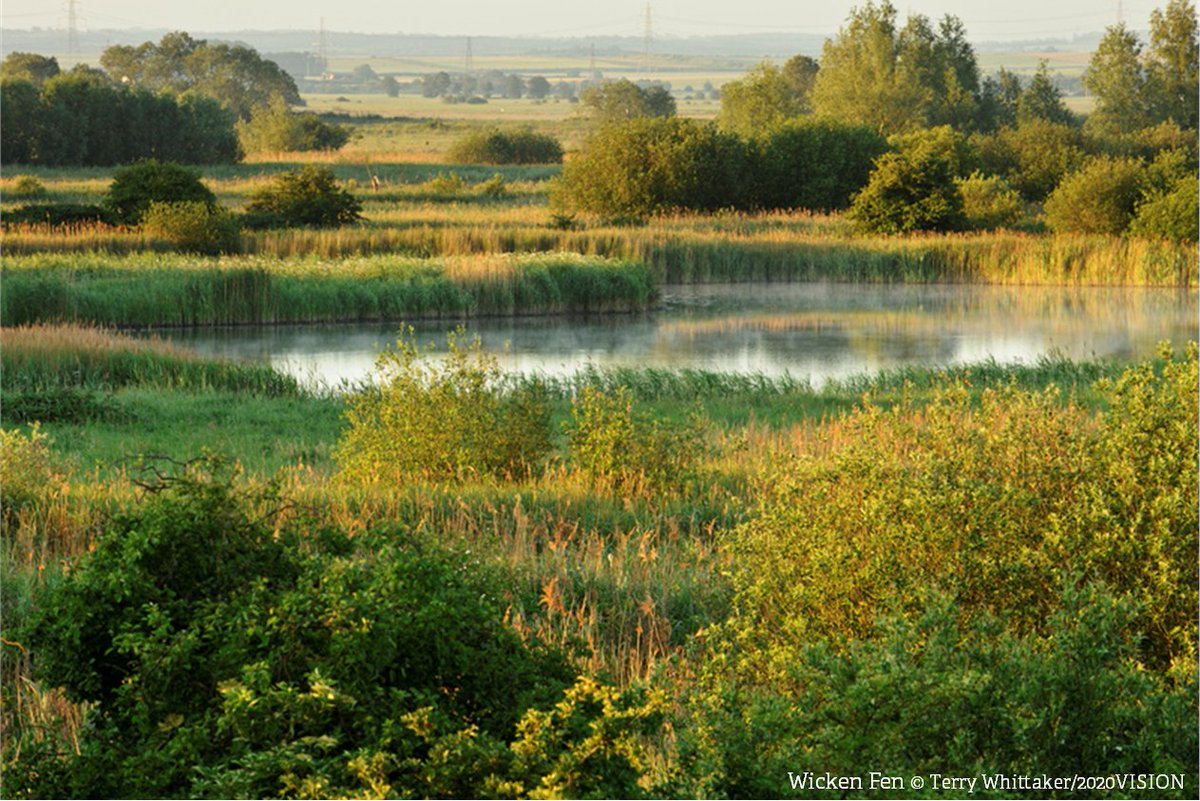 Can you help identify and seize opportunities for large scale nature recovery?
On behalf of the Fens East Peat Partnership (FEPP), we're seeking a project manager, two project officers and an administrator to kickstart the restoration of peatlands.
Apply👉 bit.ly/3K867h0