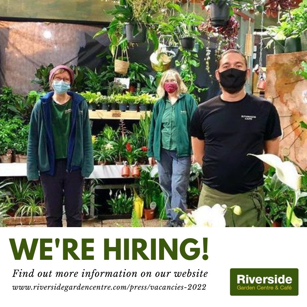 Riverside Bristol tweet media