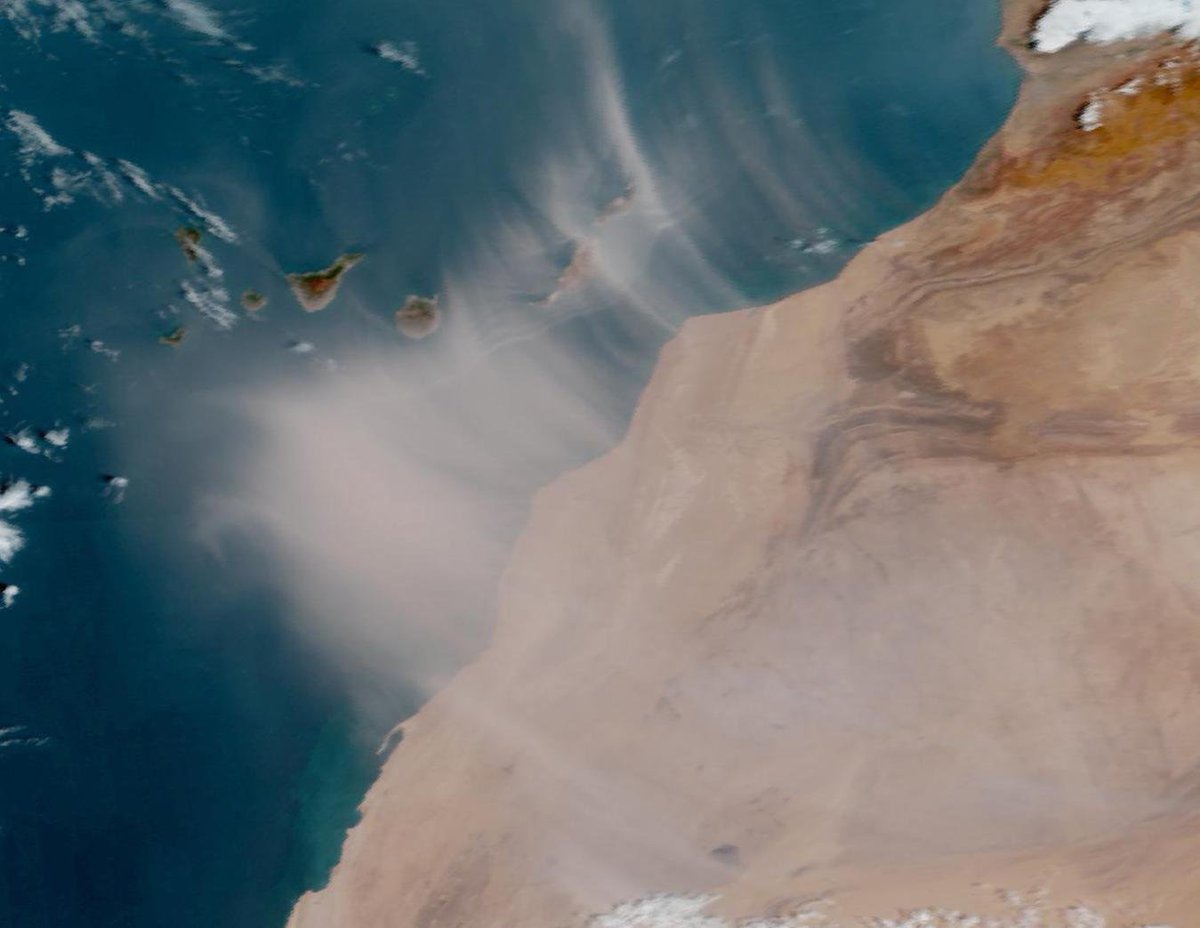 AEMET Canarias tweet media