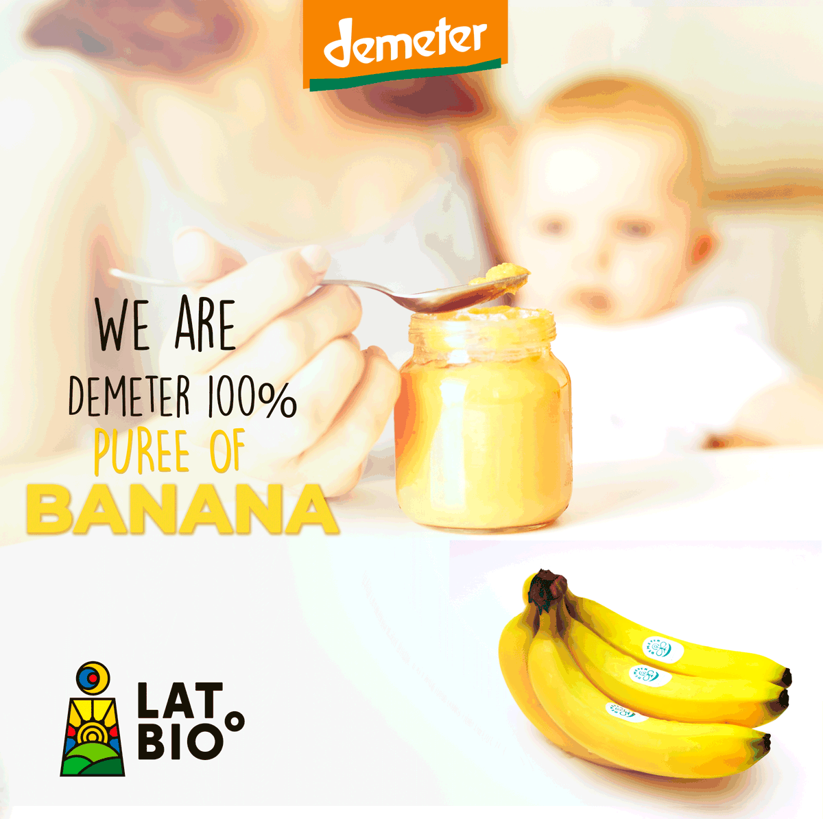 Latbioecuador's tweet photo. At LatBio we process part of the banana crop to Purée. It is 100% Demeter banana, without additives or conservatives. One of the first foods that are introduced to babies is a banana. Bananas are loaded with nutrients and are a storehouse of energy. #demetercertified #demeter 🍌 https://t.co/SAYDJI6yxj