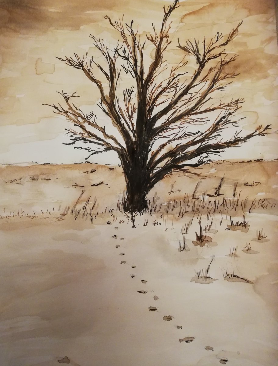 iDominicus's tweet image. 16 jan: De nacht  van de ziel - mailchi.mp/df03c32af335/d…