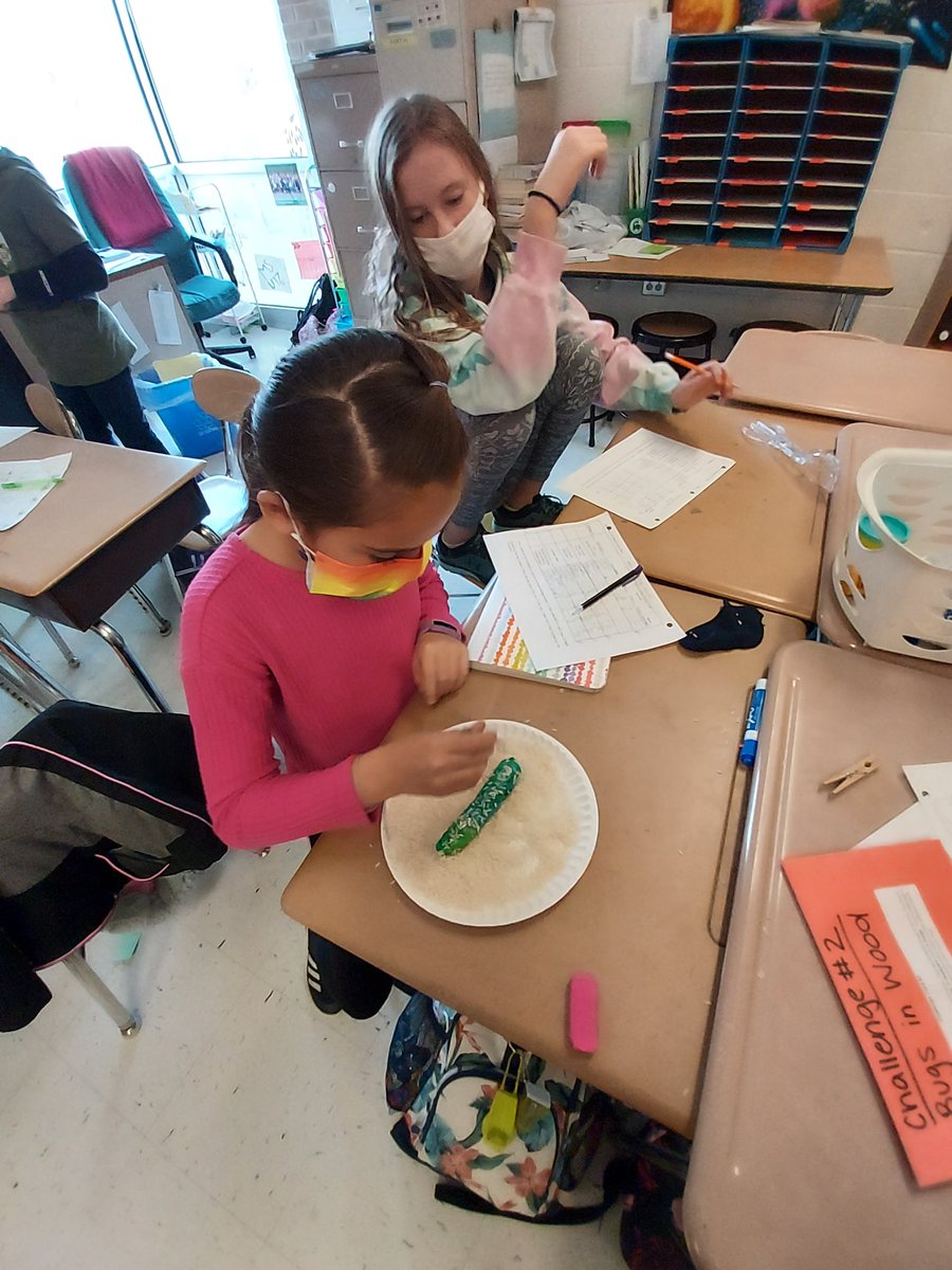 CCPS ECE tweet media