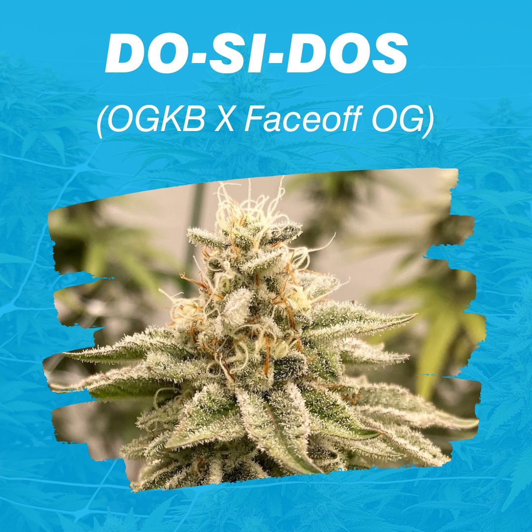 You will need some cookies after you get done with this 🌿😉