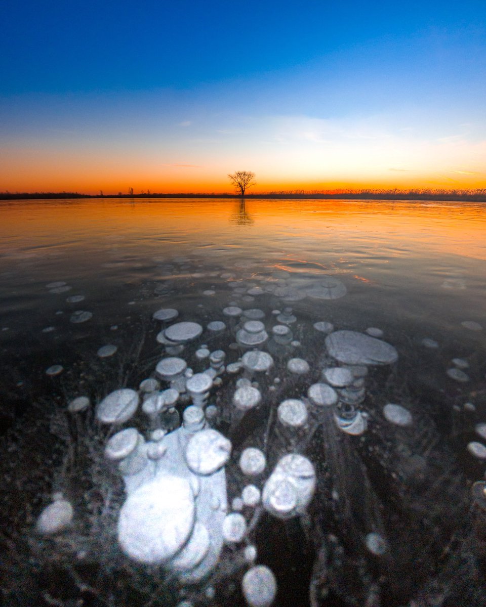 K_Wicksy's tweet photo. GM! 🌅🧊 The cold winter months in Canada create some magical displays in nature. Locating the iconic bubbles frozen within the ice here in Ontario was such a beautiful scene to find. @weathernetwork @StormHour https://t.co/XRKXZdBuft