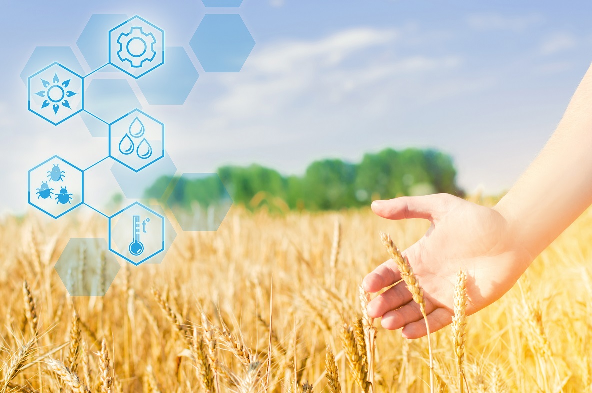 AURI's Agricultural Innovation Partnership (AIP) program is seeking proposals to help catalyze innovation, generate new ideas and support collaborative partnerships. Selected proposals will receive match funding from AURI.

Submit your proposal by Jan. 31: tinyurl.com/2p98rk4f
