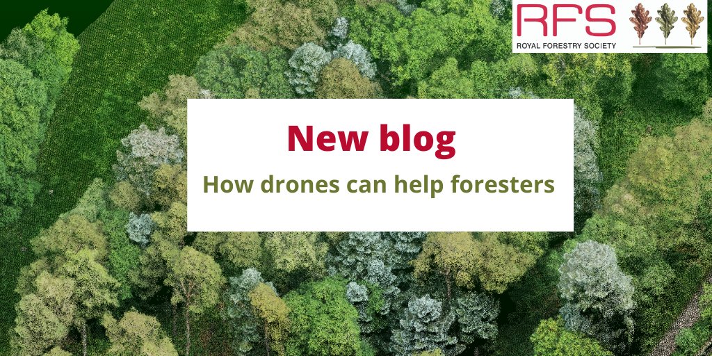 royal_forestry's tweet photo. New blog! How drones should be seen as a tool to let us see the forest on a new scale and with a new perspective. https://t.co/EA46Wd1HG5 #forestdrones #woodlandmapping #woodlandsurveys #woodlanddrones #mensuration #aerialscanning https://t.co/KOEgoWQ3CM