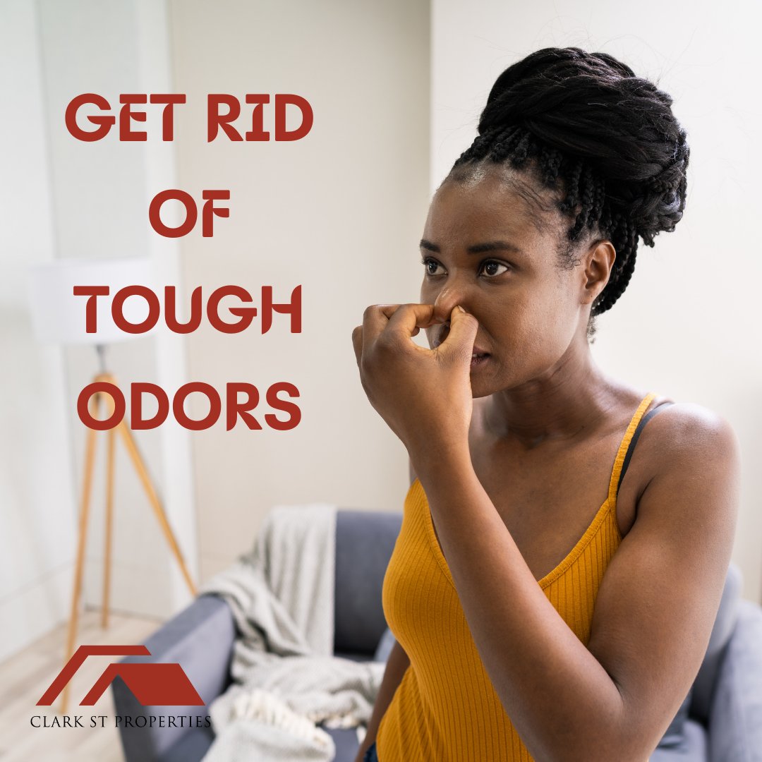 ClarkStProps's tweet photo. Did you come across properties that smell terrible? Here are the ways to Get Rid of Those Tough Odors in Your Properties. https://t.co/vOJY27O8os
#ClarkStProperties #realestateblog
#realestateinvesting #renting
#realestateinvestor #investing
#realestateagents #realtor https://t.co/ffFDvnp6KT