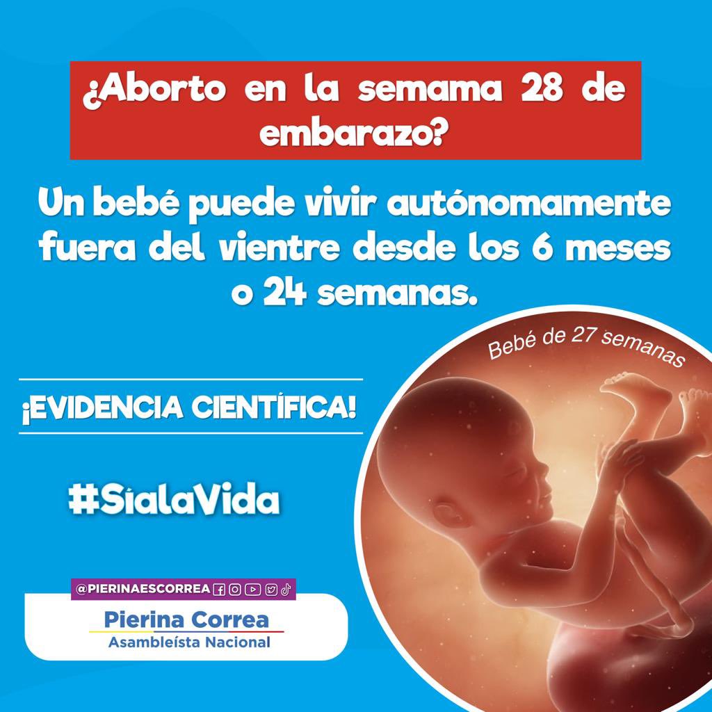 pierinaescorrea's tweet photo. #SíaLaVida #ProRespeto #ProVida #TendremosUnEcuadorMejor ✨💕 https://t.co/zgxhTp7zpc
