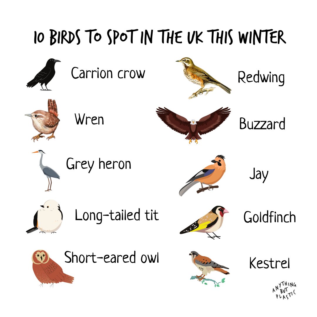 Anything But Plastic tweet media