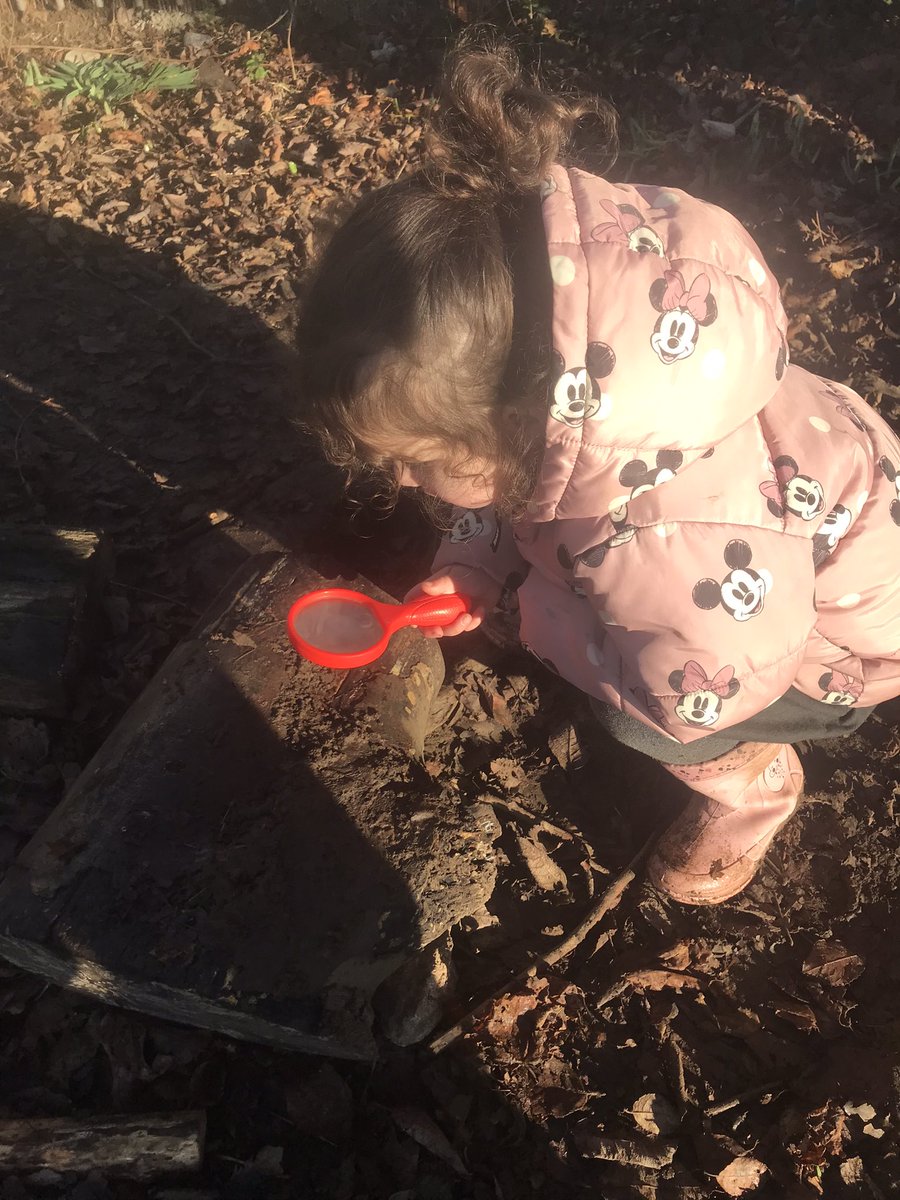 ysgolyddraig's tweet photo. #yydcolhuw #forestshool  Dosbarth Colhuw have been making bird feeders🐦 for our birds to eat during winter. #wellness @walkinthewild1 https://t.co/3wI0nAkD0K