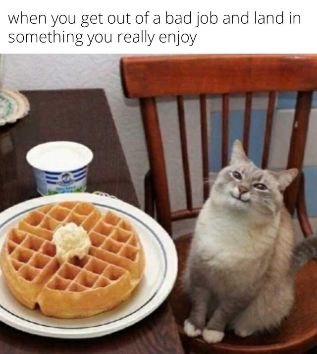 WholesomeMeme's tweet photo. https://t.co/jm4vBUHDAo