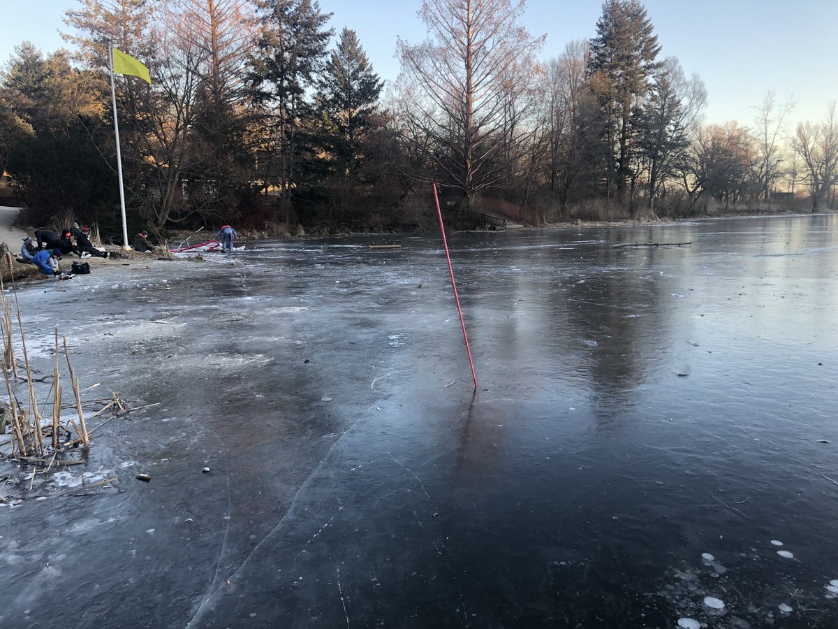 dfallon's tweet image. Good ice on Grenadier Pond today. City has the yellow flag up. Saturday should be great day for #shinny in High Park.