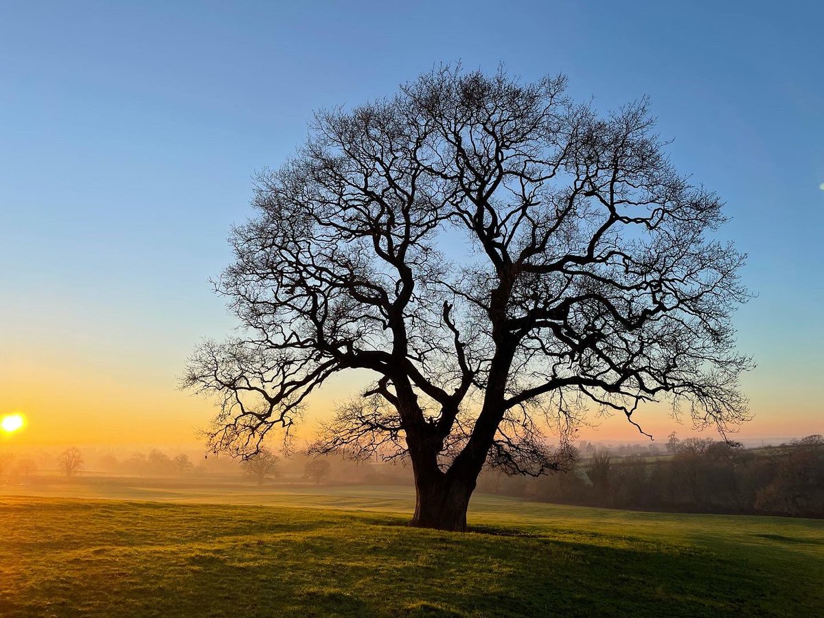 Robin Bussell (@Zedsquared) / Posts / X