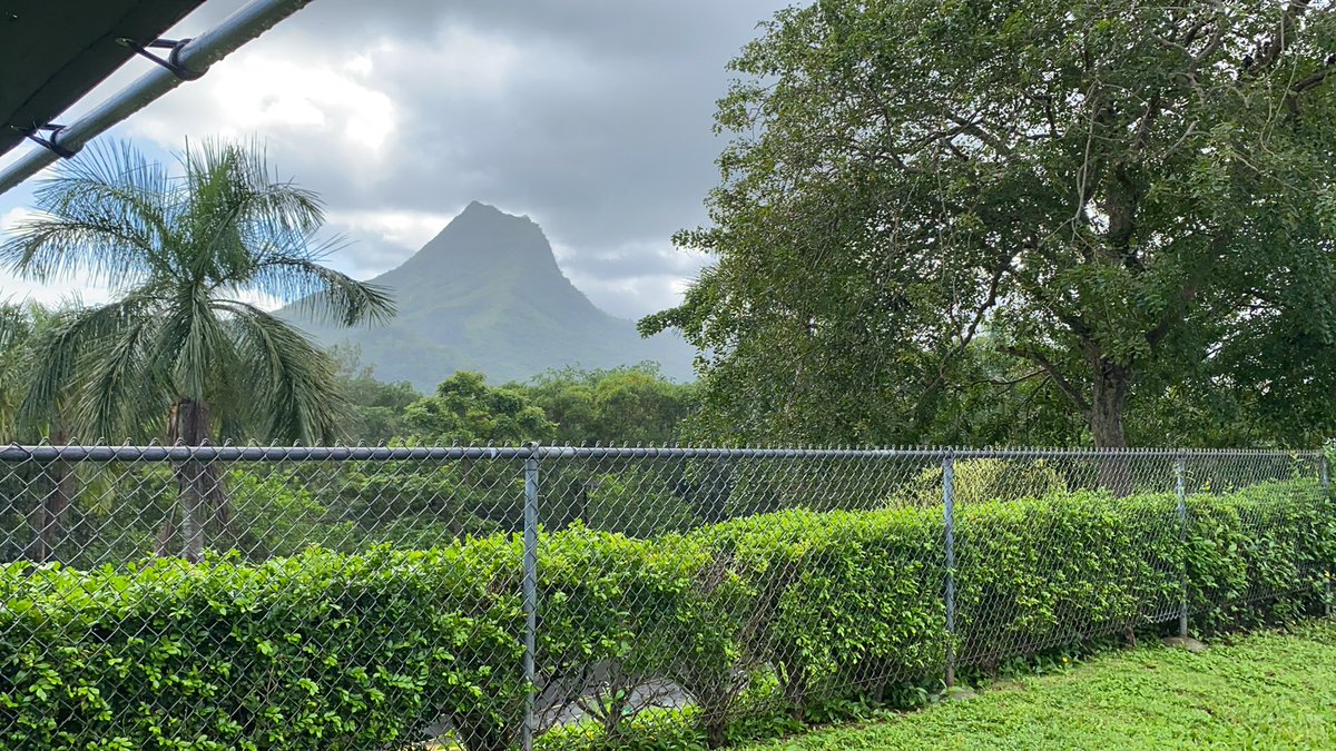 BusyBeesinthe808 tweet media