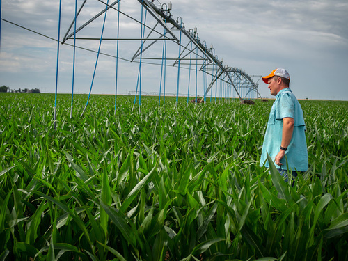 okstatewater's tweet photo. Do you want to participate in the Master Irrigator Program but are not sure if it is for you? The Master Irrigator program is for producers, farm technicians and managers, and crop consultants.

Register at https://t.co/OxGAqrFdEY https://t.co/5d0gQElGrL