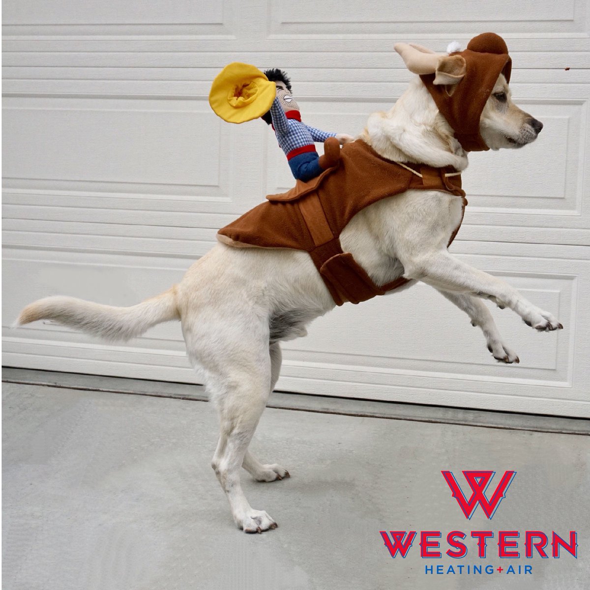 It's everyone's FUR-vorite day... National Dress Up Your Pet Day! 🐶 What outfit is your furry friend wearing today? 

#DressUpYourPetDay #BestOfUtahValley #RedHandkerchiefPromise #Lehi #Orem #Utah
#UtahCountyHVAC