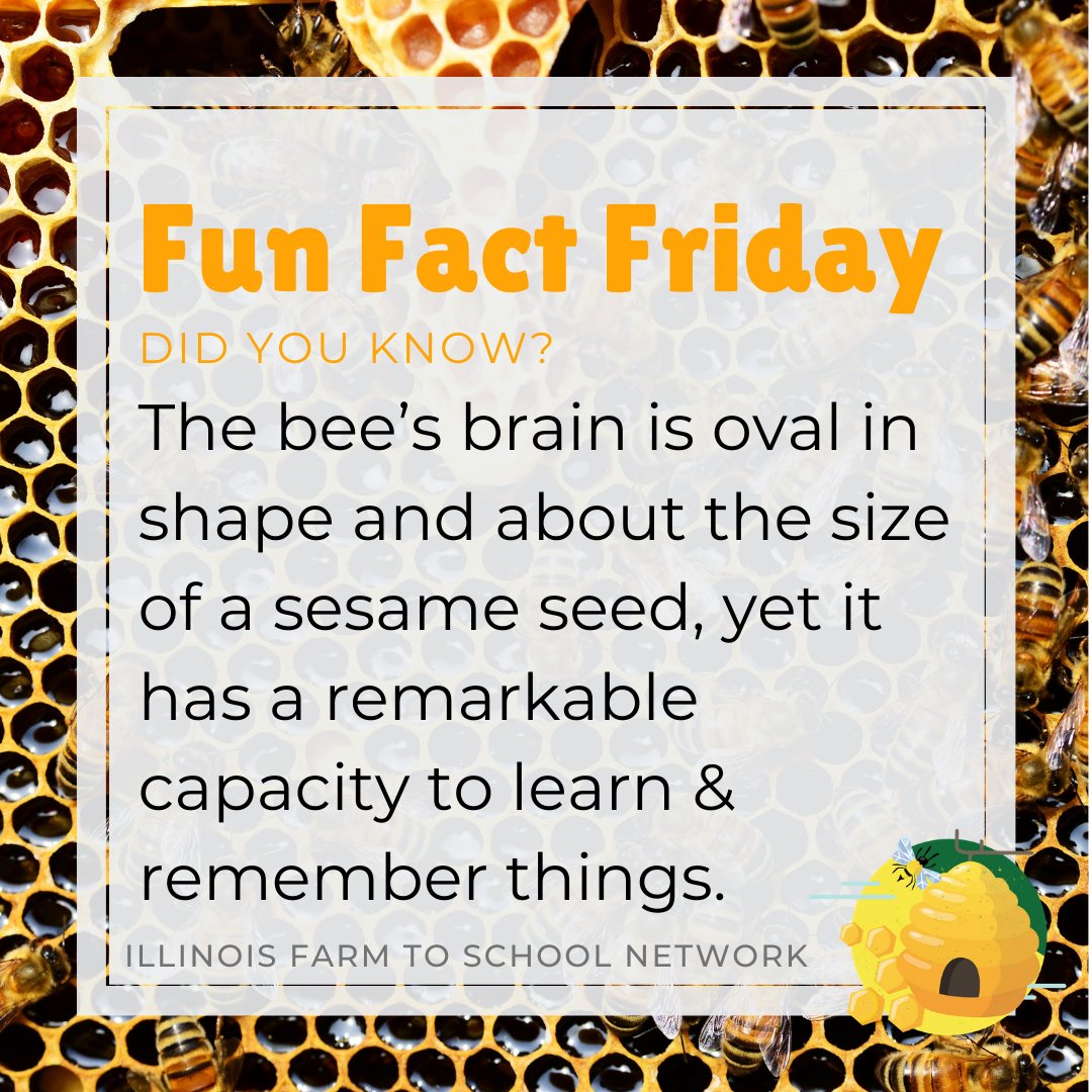 IL Farm to School tweet media