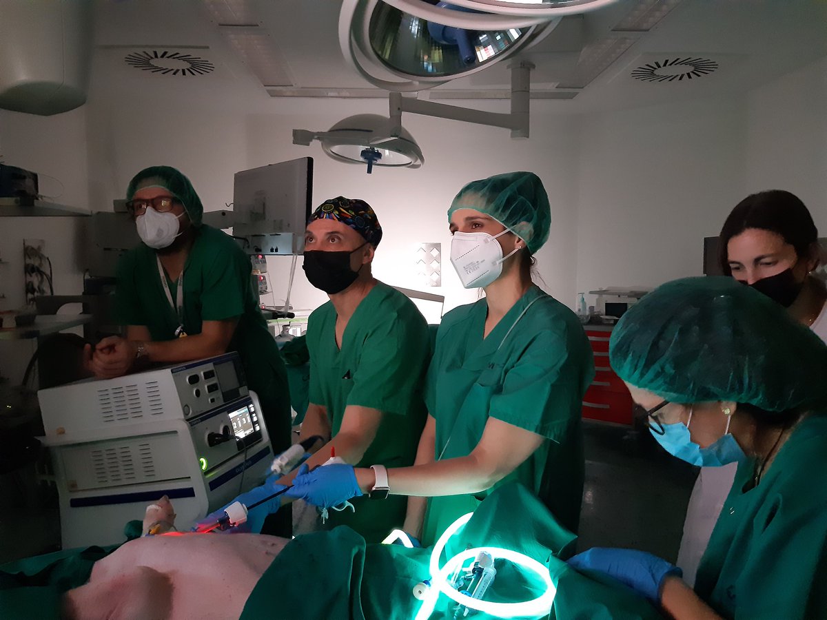 Itziar Larrañaga (@itziarlarraaga5) on Twitter photo Hoy II Workshop de Cirugía Endoscópica de la mama en el Hospital La Paz. Validación del modelo porcino en la práctica del verde de indocianina. Magnifica jornada!!! <a href="/lidia_blay/">Lidia Blay MD, PhD</a> <a href="/ESonjar/">Sonia Rivas Fidalgo</a> <a href="/aec_mama/">aec_Patologíamamaria</a> <a href="/aecirujanos/">aecirujanos</a> <a href="/ElisaYorkMD/">Elisa York</a> Hoy II Workshop de Cirugía Endoscópica de la mama en el Hospital La Paz. Validación del modelo porcino en la práctica del verde de indocianina. Magnifica jornada!!! <a href="/lidia_blay/">Lidia Blay MD, PhD</a> <a href="/ESonjar/">Sonia Rivas Fidalgo</a> <a href="/aec_mama/">aec_Patologíamamaria</a> <a href="/aecirujanos/">aecirujanos</a> <a href="/ElisaYorkMD/">Elisa York</a>