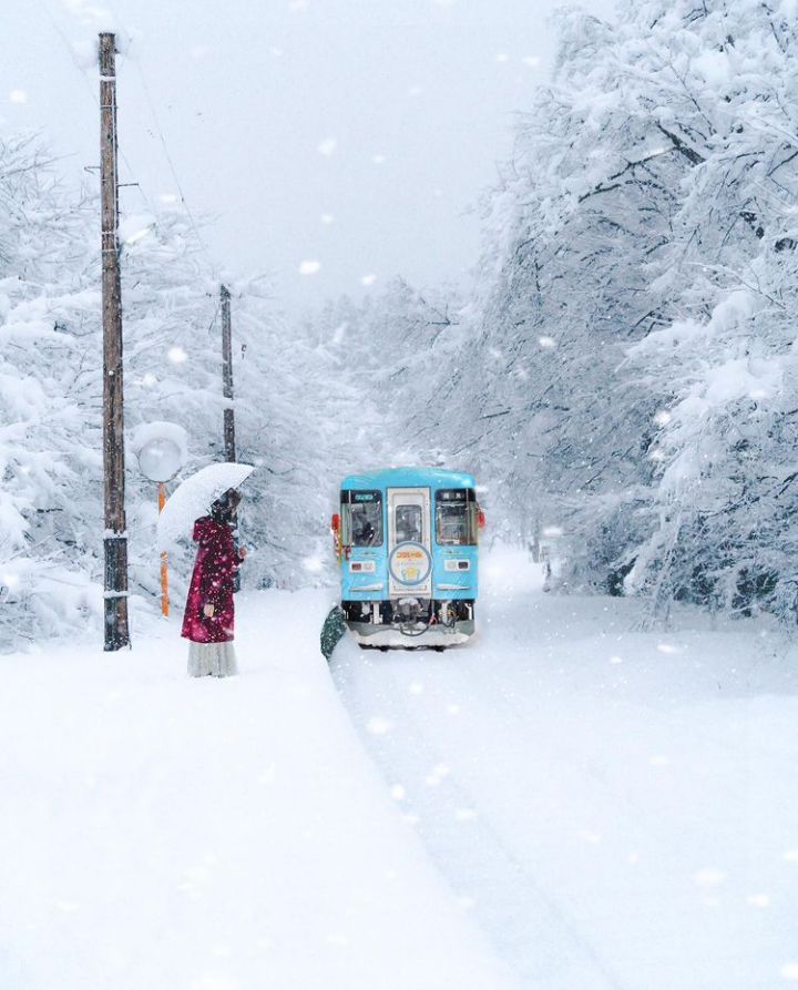 HanabiCommunity's tweet photo. Chemin des neiges profondes
Ce qui est derrière semblable
À ce qui est devant

🌨 Mukai Kyorai 🌨

📸 nyonyo_photo https://t.co/9GRZOxQpHE