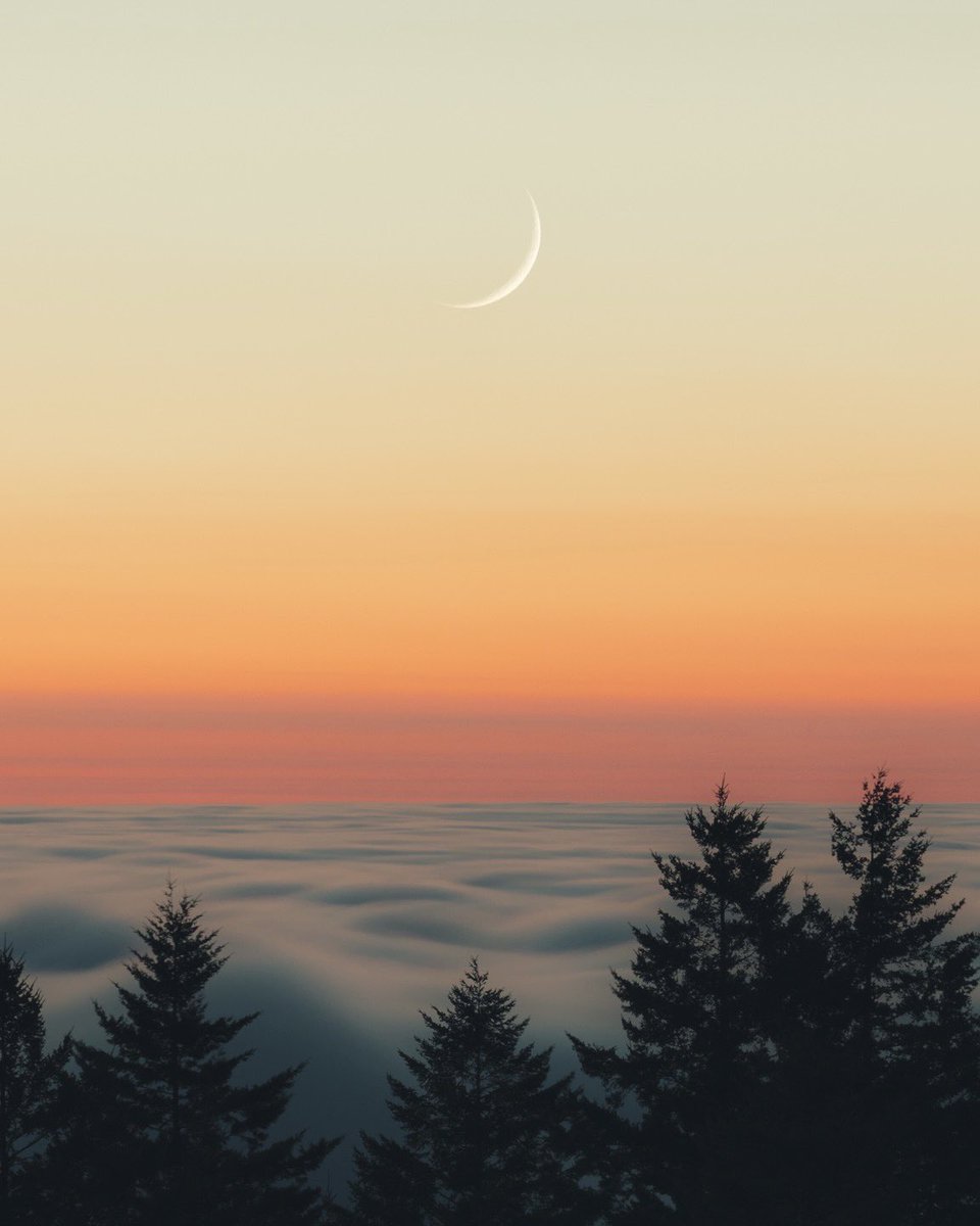 bizarrebrady's tweet photo. @DropYourNFT 🌙
https://t.co/hONQBfifTK https://t.co/Z2opqGNpra