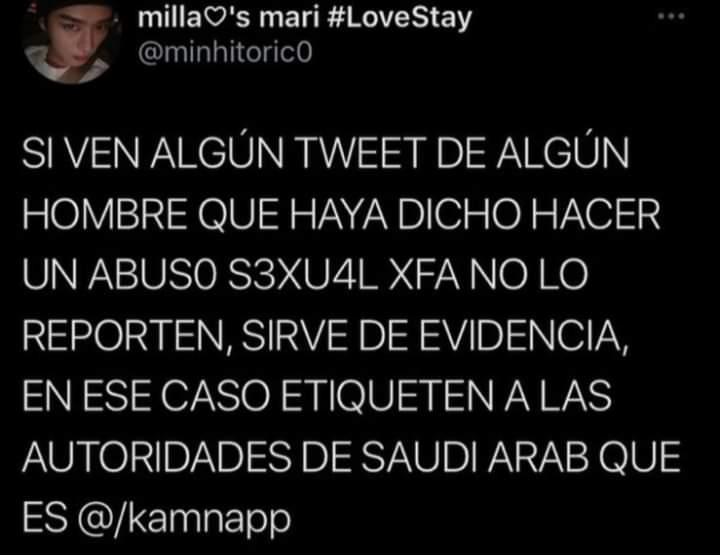 galletaholic's tweet photo. créditos a quien corresponda, espero que las a-stay estén bien ):  #StrayKids_in_Riyadh https://t.co/NIRSDrdH9B