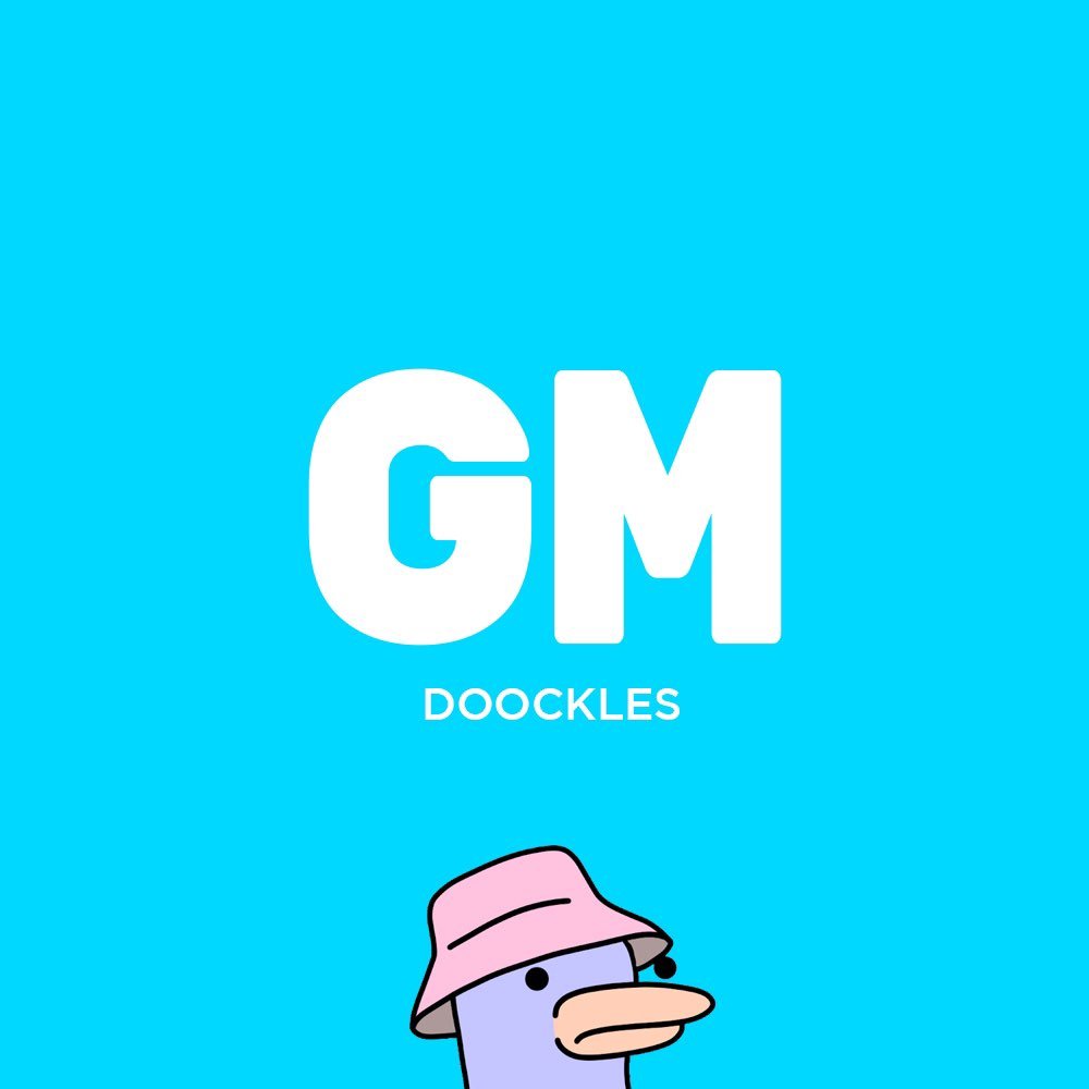 Doockles tweet media