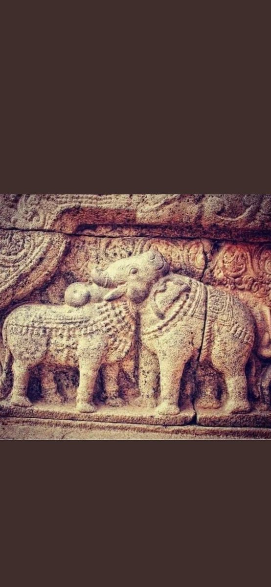 mythoverseart's tweet photo. Bro, we don't even need to look far for art inspiration. Our ancient art and sculptures are enough! Look at this Bull and elephant illusion in one of our Indian temples. This was done 100s of years back!!! Of course, we are coming up with an art piece to celebrate this! Stand by. https://t.co/ha91P92ILJ