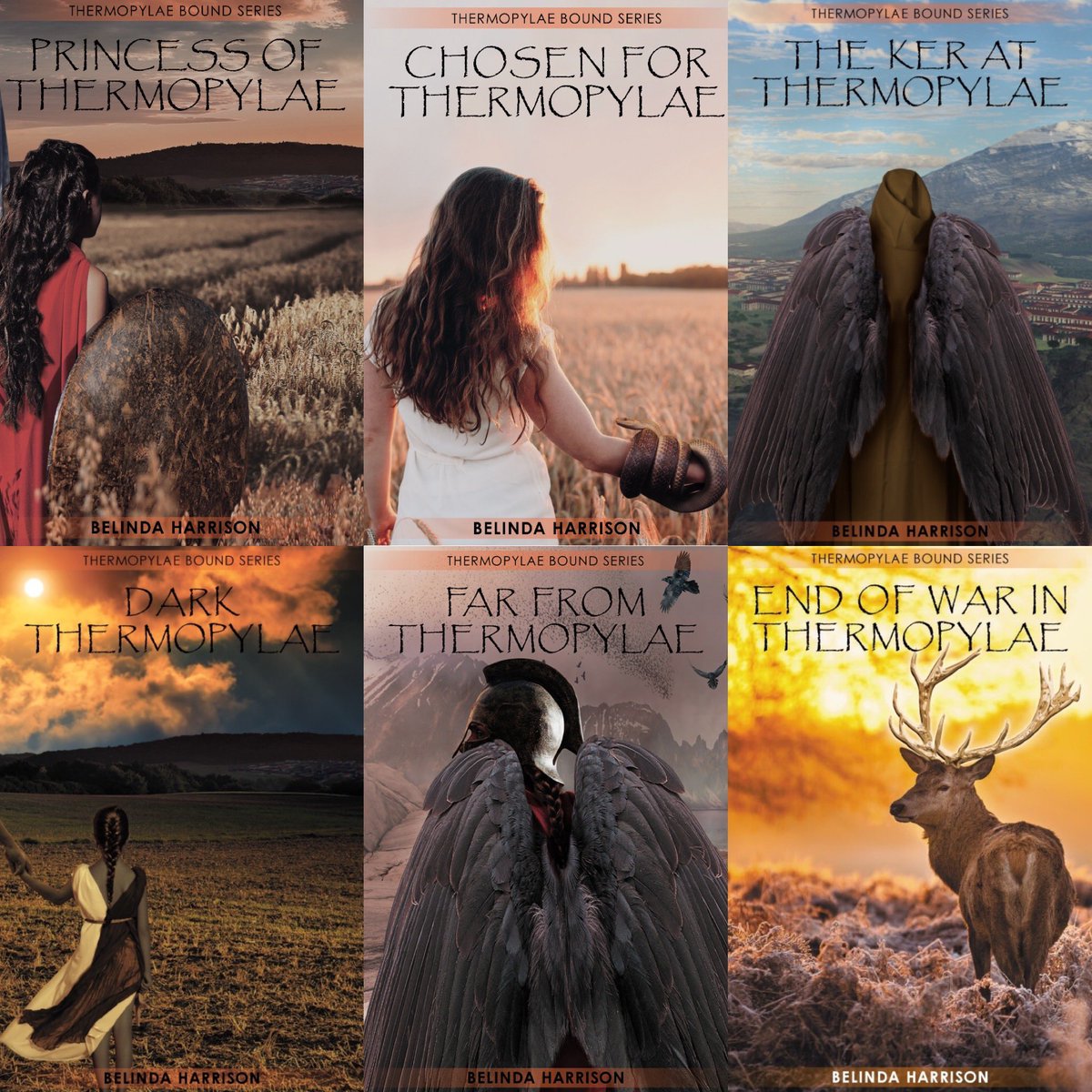 Belinda Harrison tweet media