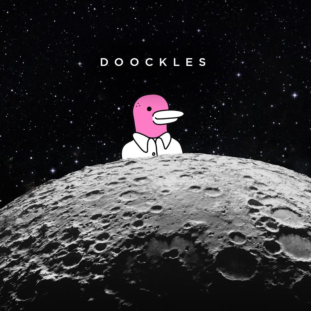 Doockles tweet media