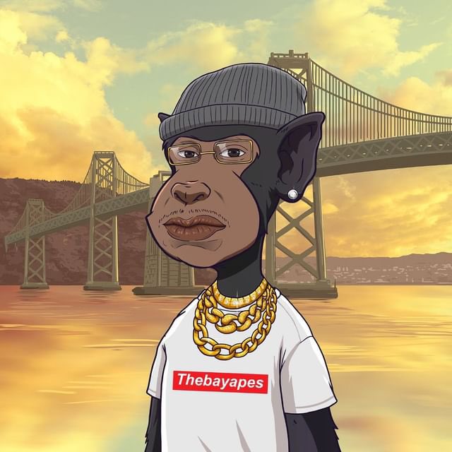 The Bay Apes tweet media