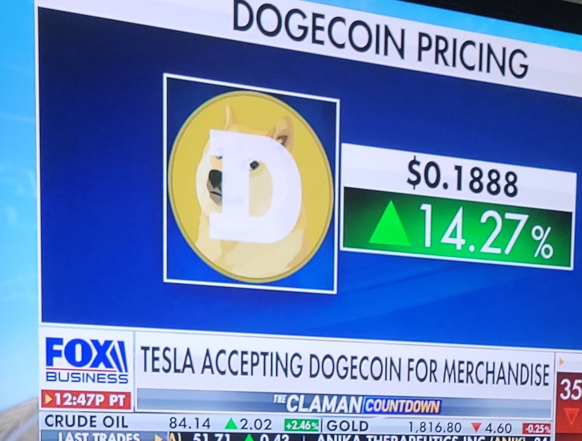 Spinitfruit tweet media