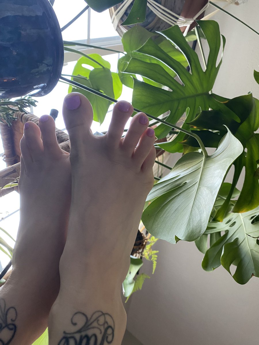HeyMickeyBabyy's tweet photo. @Feetfinder $heymickeybabyy https://t.co/pIFh7jB7OE