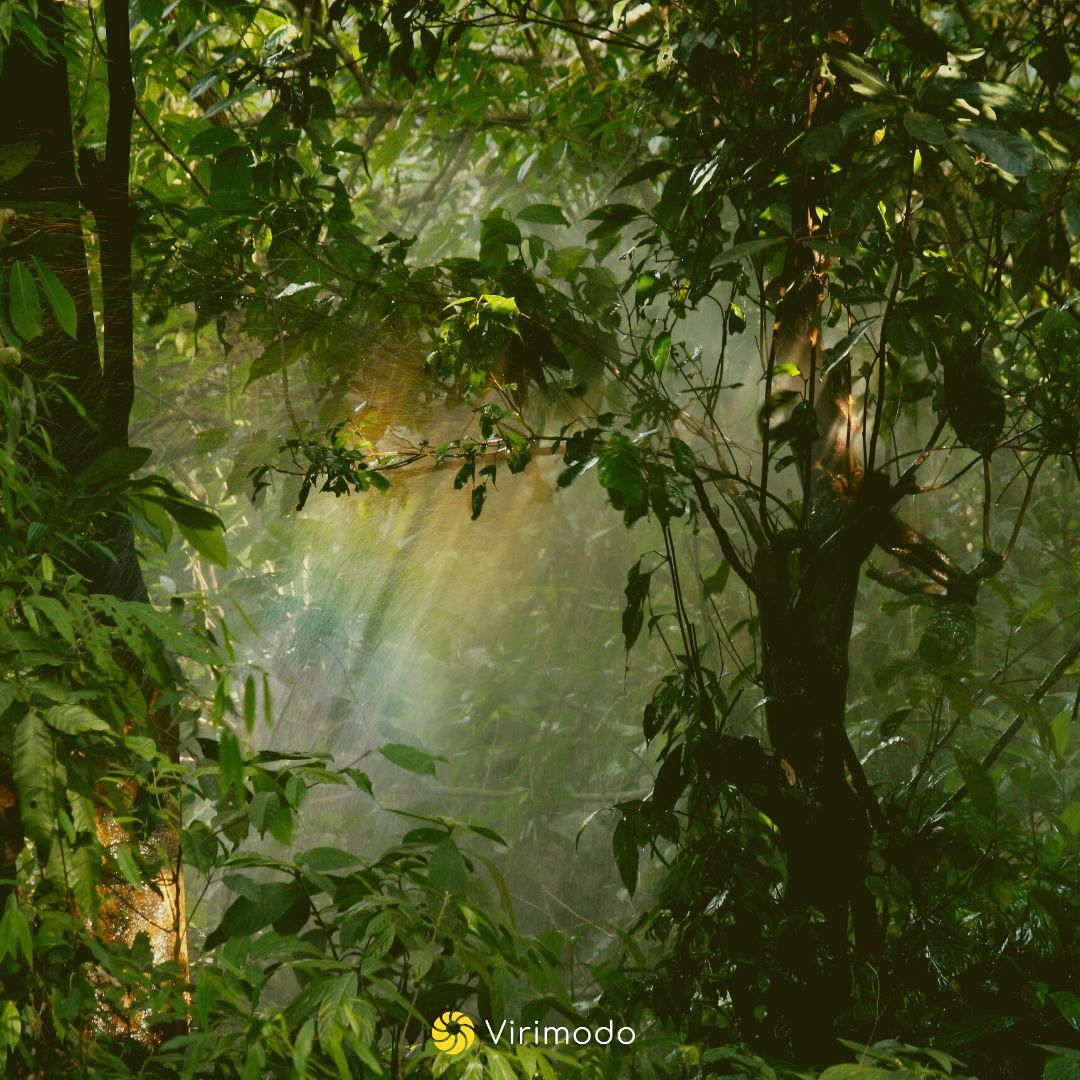 virimodo's tweet photo. Green is the New BLACK! Trying to figure out how to live a more #sustainablelife? We can help! DM us with your queries 💬
.
.
.
.
.
.
.
#cleanliving #savetheplanet #livesustainably #greenliving https://t.co/g0hlcPl1HU
